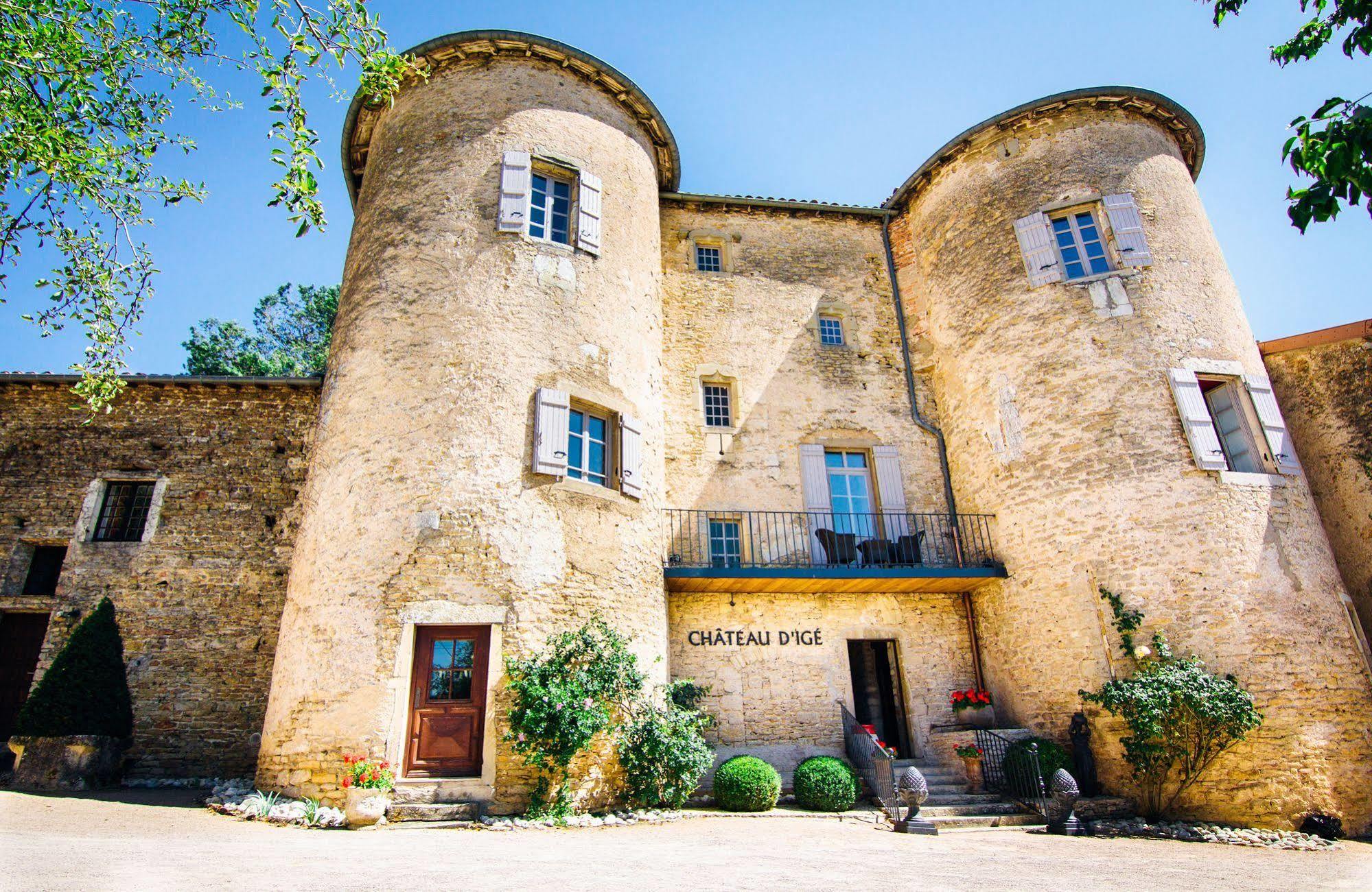 Chateau D'Ige Εξωτερικό φωτογραφία
